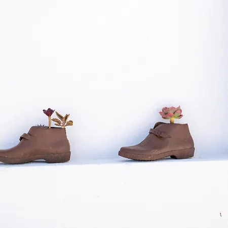 Flh House With Terrace Dom wakacyjny *