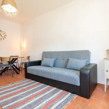 Flh House With Terrace