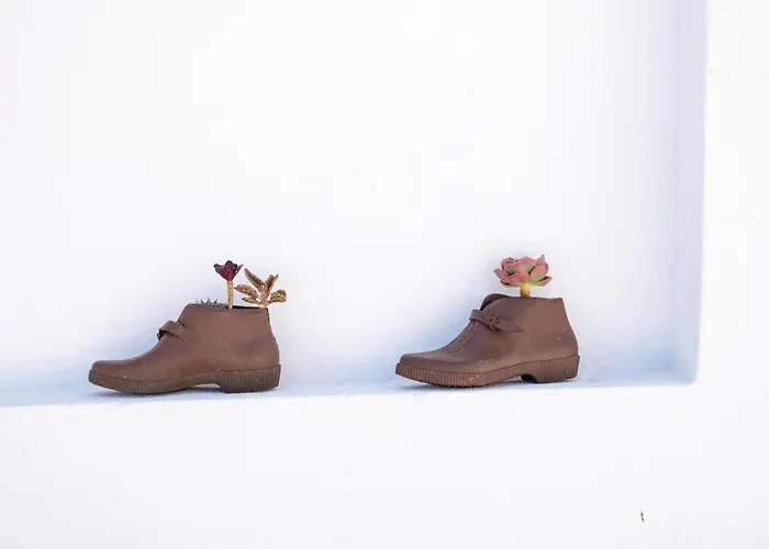 Flh House With Terrace Feriehus *