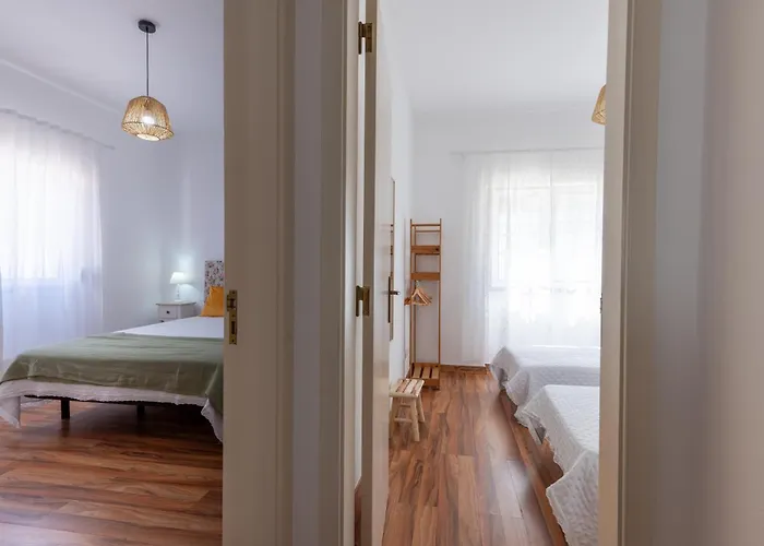 Flh House With Terrace *