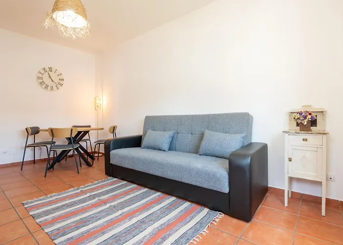 Flh House With Terrace